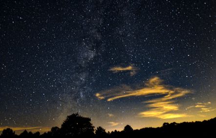 The Milky Way over a dark tree line